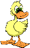 DUCK2